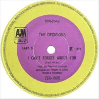 Decisions: I Can't Forget About You Brazil 7-inch