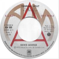 David George: Tropical Heat Canada promo 7-inch