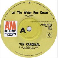 Vin Cardinal: Let the Water Run New Zealand 7-inch