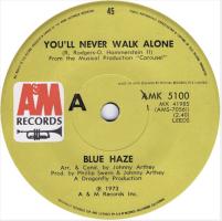 Blue Haze: You'll Never Walk Alone Netherlands 7-inch