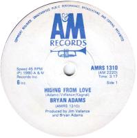 Bryan Adams: Hiding From Love Zimbabwe 7-inch