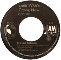 David Gibson: Look Who's Crying Now Canada 7-inch