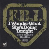 F.B.I.: I Wonder What She's Doing Tonight Germany 7-inch