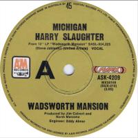 Wadsworth Mansion: Michigan Harry Slaughter Australia 7-inch