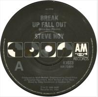 Steve Hoy: Break Up Fall Out Australia 7-inch