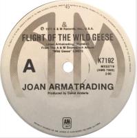 Joan Armatrading: Flight Of the Wild Geese Australia 7-inch