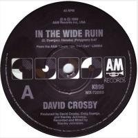 David Crosby: In the Wide Ruin Australia 7-inch