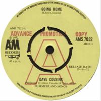 Dave Cousins: Going Home Britain promo 7-inch