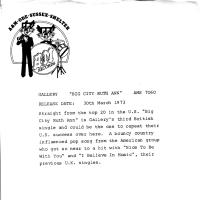 Gallery: Big City Ruth Ann Britain 7-inch