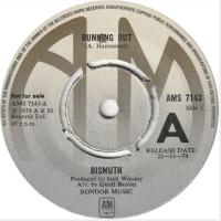 Bismuth: Running Out Britain promo 7-inch