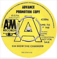Strawbs: Oh How She Changed Britain promo 7-inch