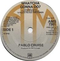 Pablo Cruise: Whatcha Gonna Do? Britain 7-inch