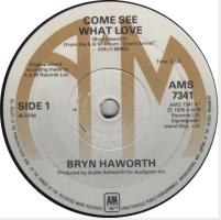Bryn Haworth: Come See What Love Britain 7-inch