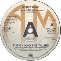 Timmy & the Tulips: Mister Blue Britain promo 7-inch