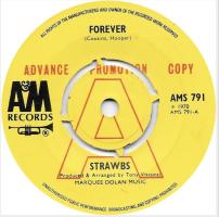Strawbs: Forever Britain promo 7-inch