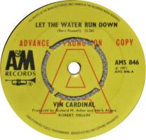 Vin Cardinal: Let the Water Run Down Britain promo 7-inch
