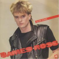James Ross: Slow Down Britain 7-inch