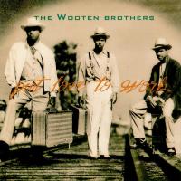 Wooten Brothers: Put Love to Work US CD album