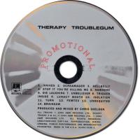 Therapy?: Troublegum US promo CD album