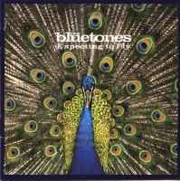 Bluetones: Expecting to Fly US CD promo album