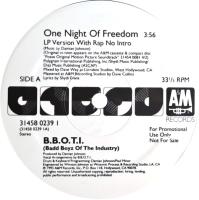 B.B.O.T.I.: One Night Of Freedom US promo 12-inch