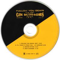 Gin Blossoms: Follow You Down US CD single