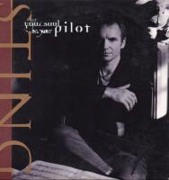 Sting: Let Your Soul Be Your Pilot US CD single