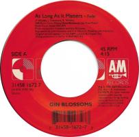 Gin Blossoms: AS Long As It Matters US 7-inch