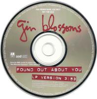 Gin Blossoms: Found Out About You US promo CD single