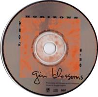 Gin Blossoms: Lost Horizons US CD single