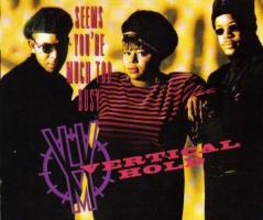 Vertical Hold: Seems You're Much Too Busy US promo CD single