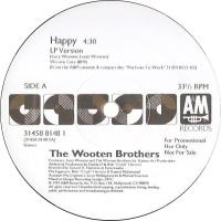 Wooten Brothers: Happy US promo 12-inch