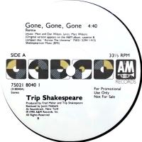 Trip Shakespeare: Gone, Gone Gone US promo 12-inch