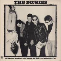 Dickies: Paranoid US 12-inch