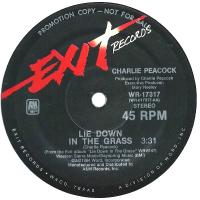 Charlie Peacock: Lie Down In the Grass US promo 12-inch