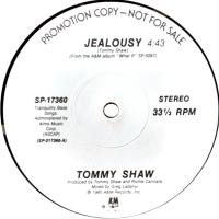 Tommy Shaw: Jealousy US promo 12-inch