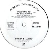 David + David: Welcome to the Boomtown US promo 12-inch