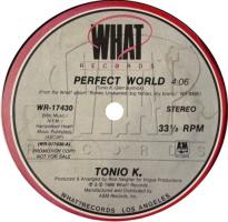 Tonio K.: Perfect World US promo 12-inch