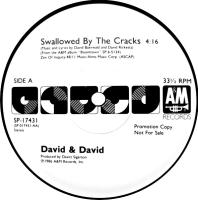 David + DavidL Swallowed By the Cracks US promo 12-inch