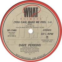 Dave Perkins: Make Me Feel US promo 12-inch