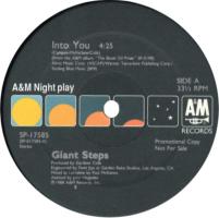 Giant Steps: Into You US promo 12-inch