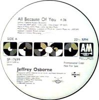 Jeffrey Osborne: All Because Of You US promo 12-inch