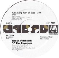 Robyn Hitchcock & the Egyptians: One Long Pair Of Eyes US promo 12-inch