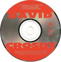 David Crosby: In the Wide Ruin US promo CD single