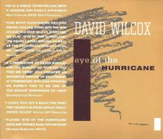 David Wilcox: Eye Of the Hurricane US promo CD single