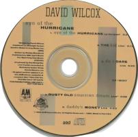 David Wilcox: Eye Of the Hurricane US promo CD single