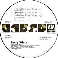 Barry White: I Wanna Do It Good to Ya US promo 12-inch