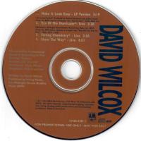 David Wilcox: Make It Look Easy US promo CD single