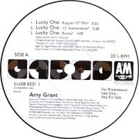 Amy Grant: Lucky One US promo 12-inch