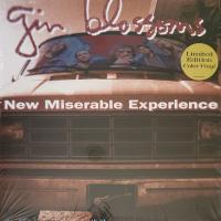 Gin Blossoms: New Miserable Experience US vinyl album reissue